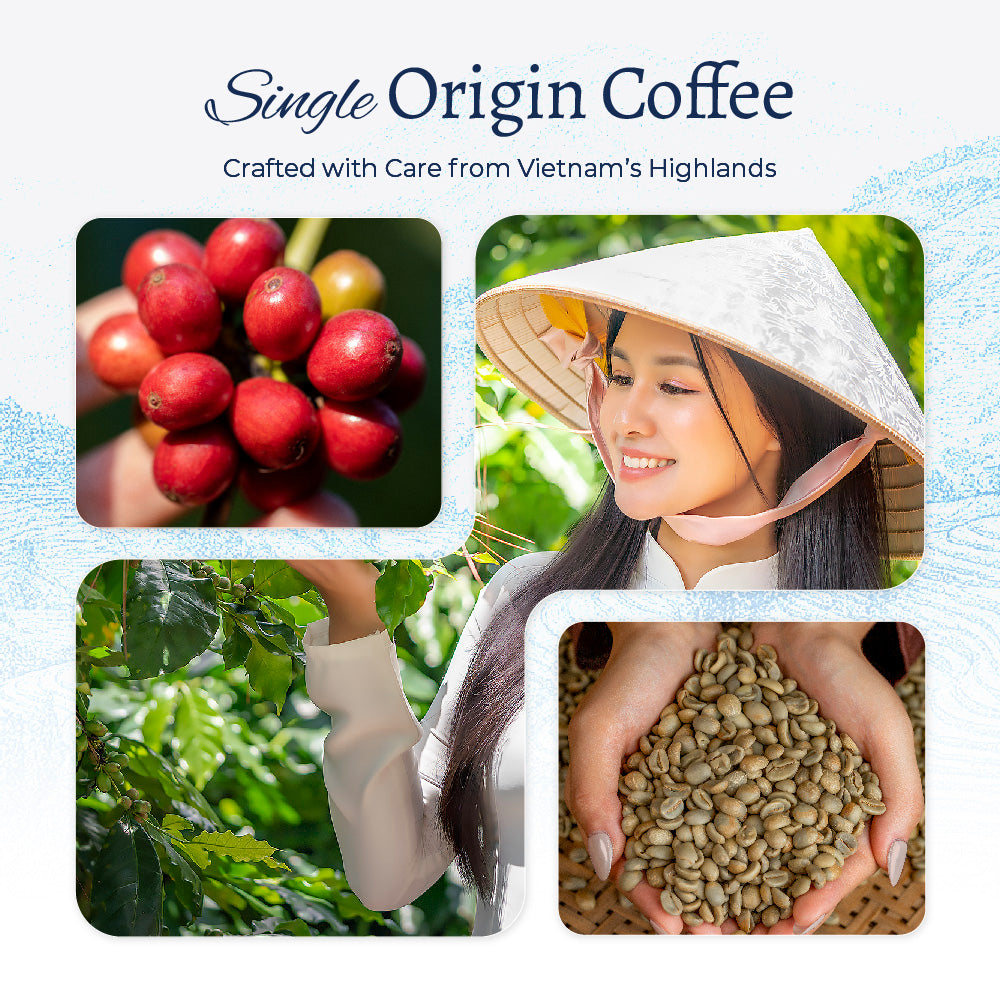 24 K-Cup Eastern Sunrise - Cà phê rang vừa